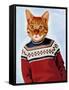 Cat in Ski Sweater-Fab Funky-Framed Stretched Canvas