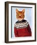 Cat in Ski Sweater-Fab Funky-Framed Art Print