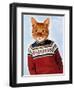 Cat in Ski Sweater-Fab Funky-Framed Art Print