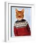 Cat in Ski Sweater-Fab Funky-Framed Art Print