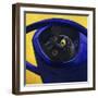 Cat in the Watering Can (Chat a L'Arrosoir)-Isy Ochoa-Framed Giclee Print