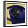 Cat in the Watering Can (Chat a L'Arrosoir)-Isy Ochoa-Framed Giclee Print