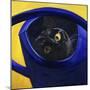 Cat in the Watering Can (Chat a L'Arrosoir)-Isy Ochoa-Mounted Giclee Print