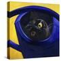 Cat in the Watering Can (Chat a L'Arrosoir)-Isy Ochoa-Stretched Canvas