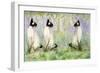 Cat Kins-Suzi Kennett-Framed Giclee Print