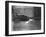 Cat Laps Up Spilt Milk-null-Framed Photographic Print