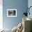 Cat Laps Up Spilt Milk-null-Framed Photographic Print displayed on a wall