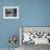 Cat Laps Up Spilt Milk-null-Framed Photographic Print displayed on a wall