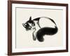 Cat Laze I-Grace Popp-Framed Art Print