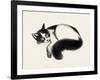 Cat Laze I-Grace Popp-Framed Art Print