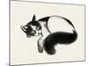 Cat Laze I-Grace Popp-Mounted Art Print