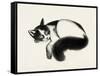 Cat Laze I-Grace Popp-Framed Stretched Canvas