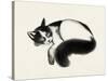 Cat Laze I-Grace Popp-Stretched Canvas