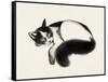 Cat Laze I-Grace Popp-Framed Stretched Canvas