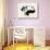 Cat Laze I-Grace Popp-Stretched Canvas displayed on a wall