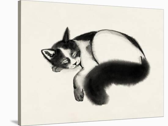 Cat Laze I-Grace Popp-Stretched Canvas