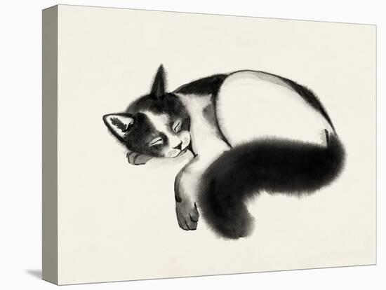 Cat Laze I-Grace Popp-Stretched Canvas