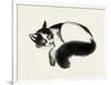 Cat Laze I-Grace Popp-Framed Art Print