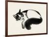 Cat Laze I-Grace Popp-Framed Art Print