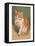 Cat Licking Paw-null-Framed Stretched Canvas