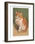 Cat Licking Paw-null-Framed Art Print