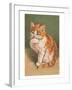 Cat Licking Paw-null-Framed Art Print