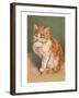 Cat Licking Paw-null-Framed Art Print