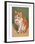 Cat Licking Paw-null-Framed Art Print