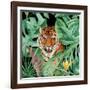 Cat Life 1-Kimberly Allen-Framed Art Print