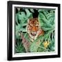 Cat Life 1-Kimberly Allen-Framed Art Print