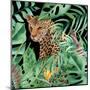 Cat Life 3-Kimberly Allen-Mounted Art Print