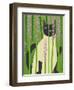 Cat Look 4-Artistan-Framed Art Print