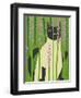 Cat Look 4-Artistan-Framed Art Print