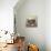 Cat Looks at Goldfish in Bowl-null-Stretched Canvas displayed on a wall