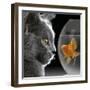 Cat Looks at Goldfish in Bowl-null-Framed Photographic Print