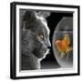 Cat Looks at Goldfish in Bowl-null-Framed Photographic Print