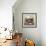 Cat Looks at Goldfish in Bowl-null-Framed Photographic Print displayed on a wall