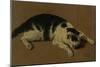 Cat lying down-Adriaen van de Velde-Mounted Giclee Print