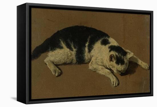 Cat lying down-Adriaen van de Velde-Framed Stretched Canvas