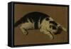 Cat lying down-Adriaen van de Velde-Framed Stretched Canvas