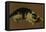 Cat lying down-Adriaen van de Velde-Framed Stretched Canvas