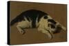 Cat lying down-Adriaen van de Velde-Stretched Canvas