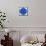 Cat Mandala XVII-David Sheskin-Framed Stretched Canvas displayed on a wall