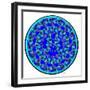 Cat Mandala XVII-David Sheskin-Framed Giclee Print