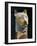 Cat Mummy, Detail-null-Framed Giclee Print