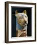 Cat Mummy, Detail-null-Framed Giclee Print