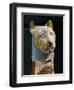 Cat Mummy, Detail-null-Framed Giclee Print