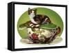 Cat N Cup Calico-Atelier Sommerland-Framed Stretched Canvas