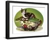 Cat N Cup Calico-Atelier Sommerland-Framed Art Print