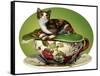 Cat N Cup Calico-Atelier Sommerland-Framed Stretched Canvas